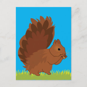 Squirrel Animal Postcard