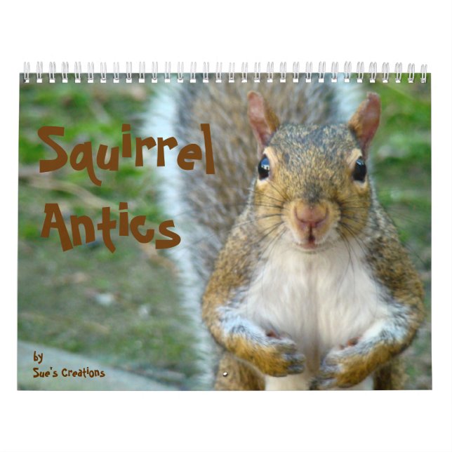 Squirrel Antics Calendar (Cover)