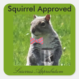 Squirrel Approved Stickers