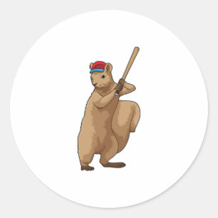 Squirrel at Baseball with Baseball bat Classic Round Sticker