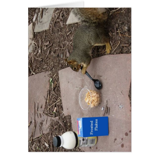 Squirrel at Breakfast (Front)