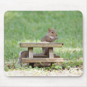 Squirrel at Picnic Table Mouse Mat