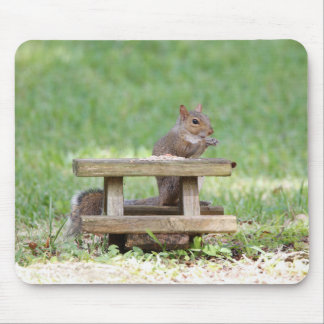 Squirrel at Picnic Table Mouse Mat