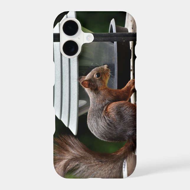 Squirrel at the Bird Feeder (Back)