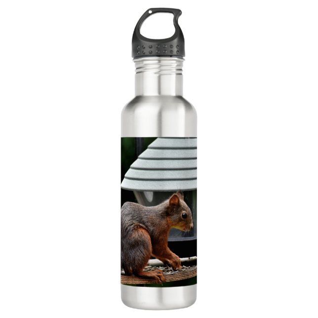Squirrel at the Bird Feeder 710 Ml Water Bottle (Front)