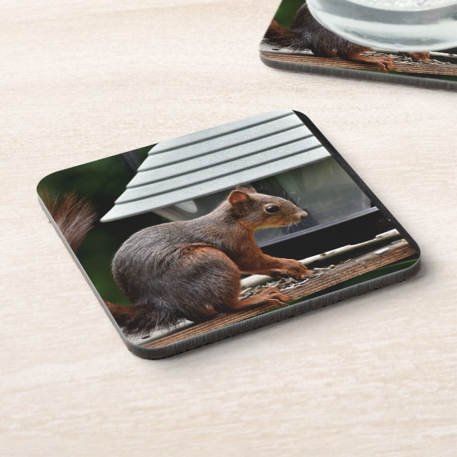Squirrel at the Bird Feeder Coaster (Left Side)