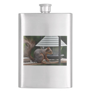Squirrel at the Bird Feeder Hip Flask