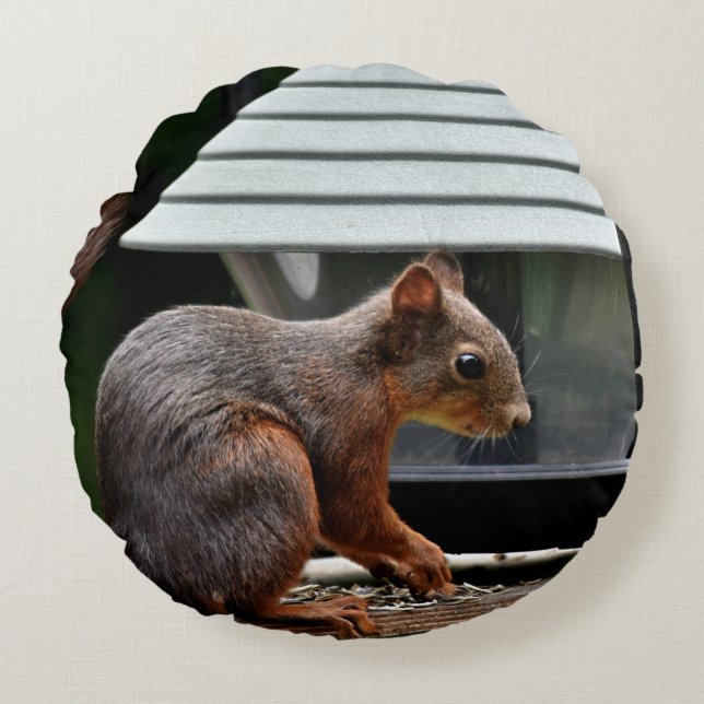 Squirrel at the Bird Feeder Round Cushion (Front)