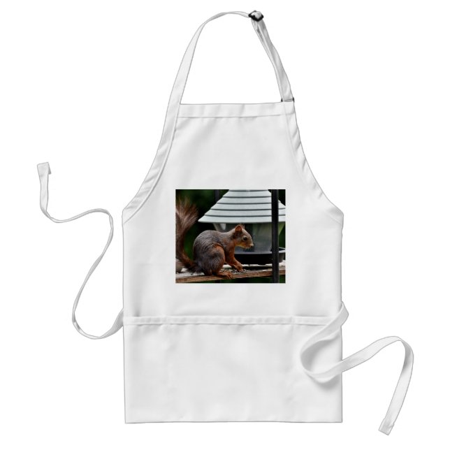 Squirrel at the Bird Feeder Standard Apron (Front)