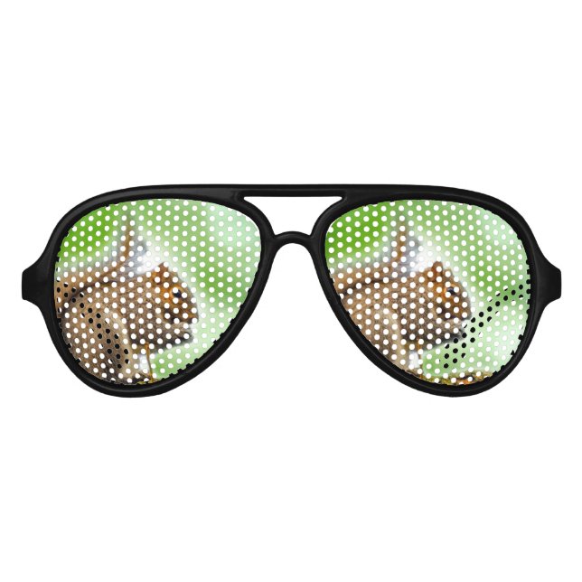 Squirrel Aviator Sunglasses (Front)