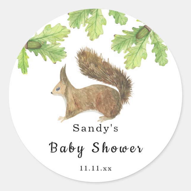Squirrel - Baby Shower Classic Round Sticker (Front)