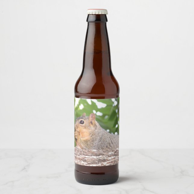 Squirrel Beer Bottle Label (Front)
