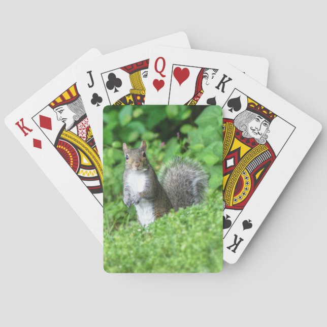 Squirrel Bicycle Playing Cards (Back)