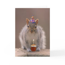 Squirrel birthday card
