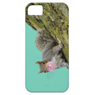 Squirrel Blowing a Bubblegum Bubble Animal Photo Barely There iPhone 5 Case
