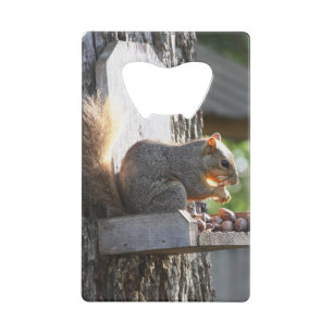 Squirrel Bottle Opener