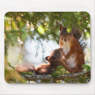 Squirrel Breastfeeding Mouse Mat