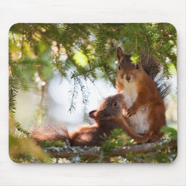 Squirrel Breastfeeding Mouse Mat (Front)