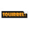 Squirrel Bumper Sticker