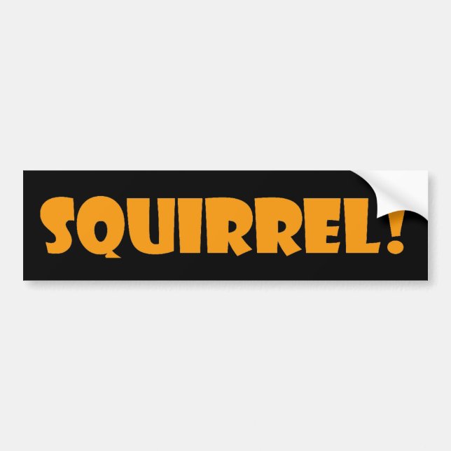 Squirrel Bumper Sticker (Front)