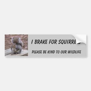 squirrel bumper sticker featuring "Summer"