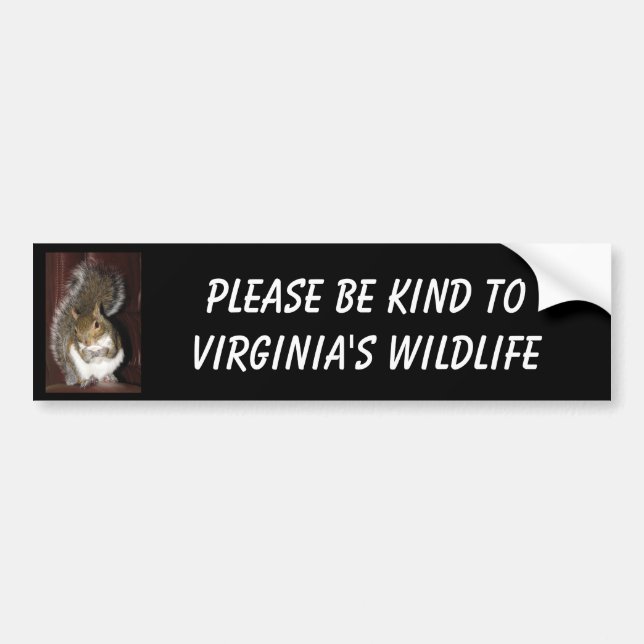 Squirrel bumper sticker, featuring "Summer" Sticker (Front)