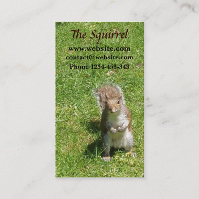 Squirrel Business Card (Front)