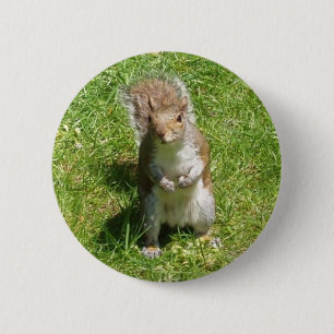 Squirrel Button