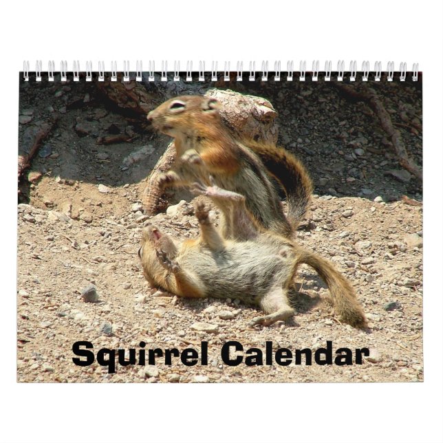 Squirrel Calendar (Cover)
