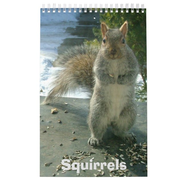 Squirrel Calendar (Cover)