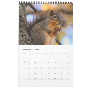 Squirrel Calendar