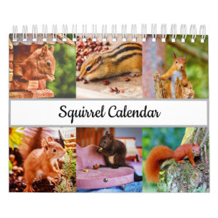 Squirrel Calendar