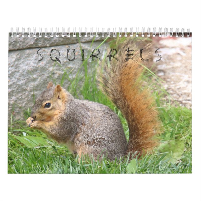 Squirrel Calendar (Cover)
