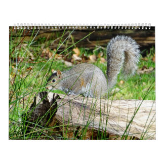 Squirrel Calendar