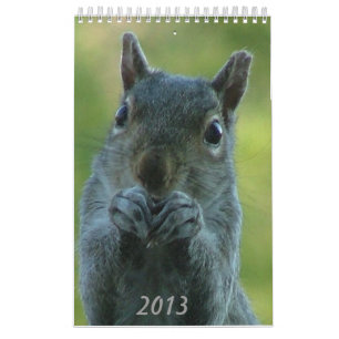 Squirrel Calendar 2013