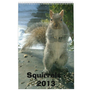 Squirrel Calendar 2013
