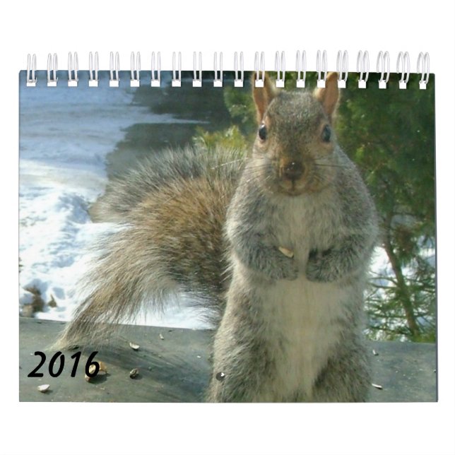 Squirrel Calendar 2016 (Cover)