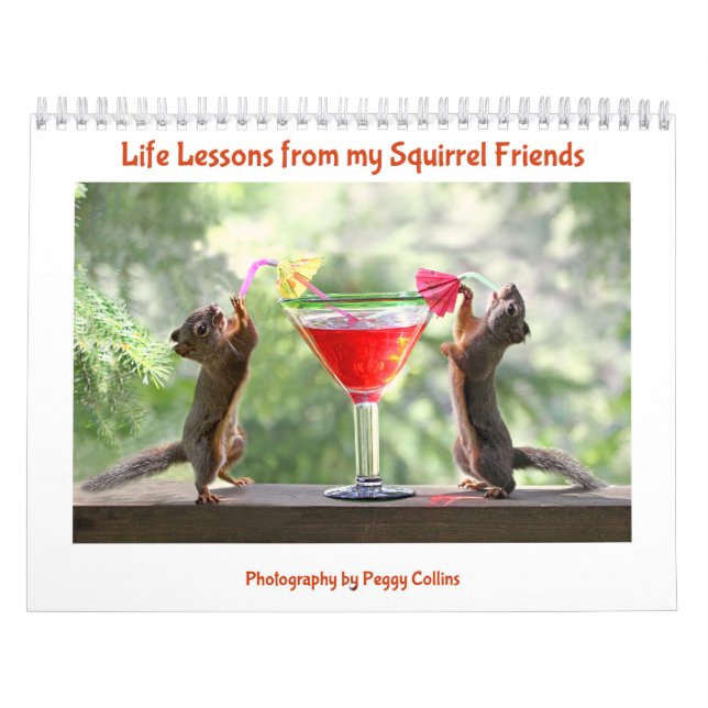 Squirrel Calendar - All New Life Lessons (Cover)