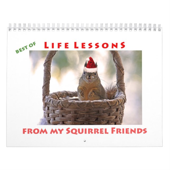 Squirrel Calendar - Best of Life Lessons (Cover)