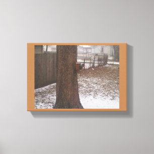 Squirrel Canvas Print