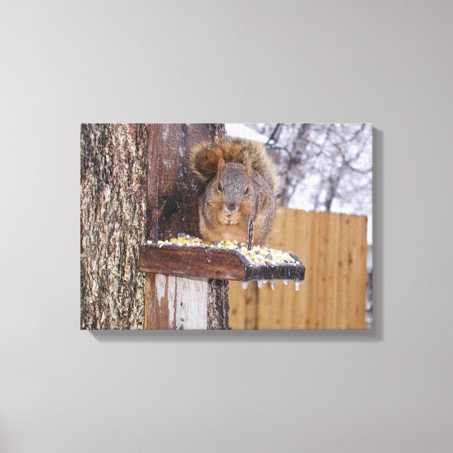 Squirrel Canvas Print (Front)