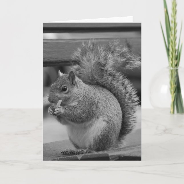 Squirrel Card (Front)