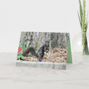 Squirrel Card