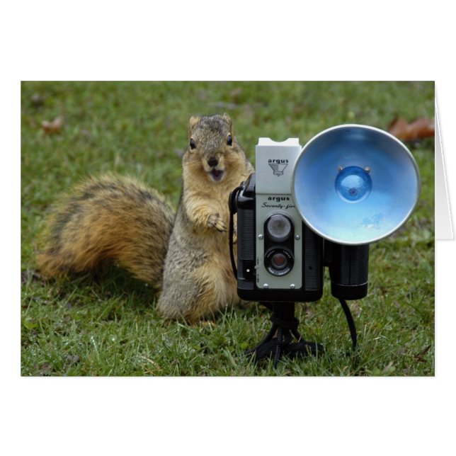 squirrel card large (Front Horizontal)