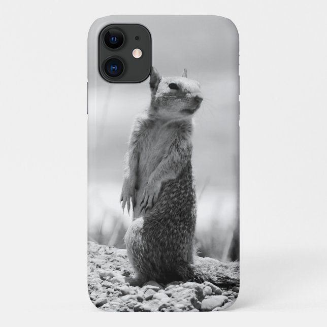 Squirrel Case-Mate iPhone Case (Back)