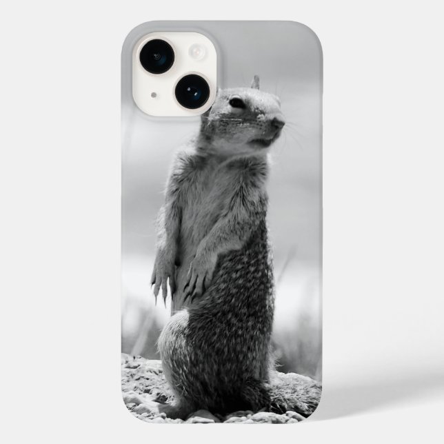 Squirrel Case-Mate iPhone Case (Back)