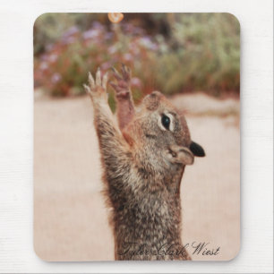 Squirrel catch 2 mouse mat