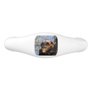 Squirrel Ceramic Drawer Pull