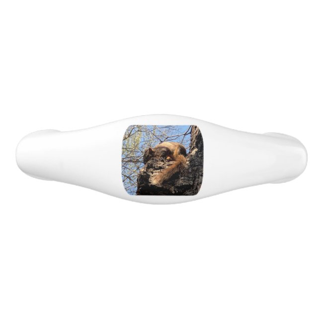Squirrel Ceramic Drawer Pull (Front)
