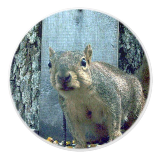 Squirrel Ceramic Knob (Front)